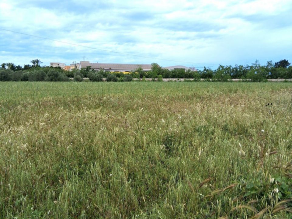 Helårsgrund i Nardo, Lecce - foto 1