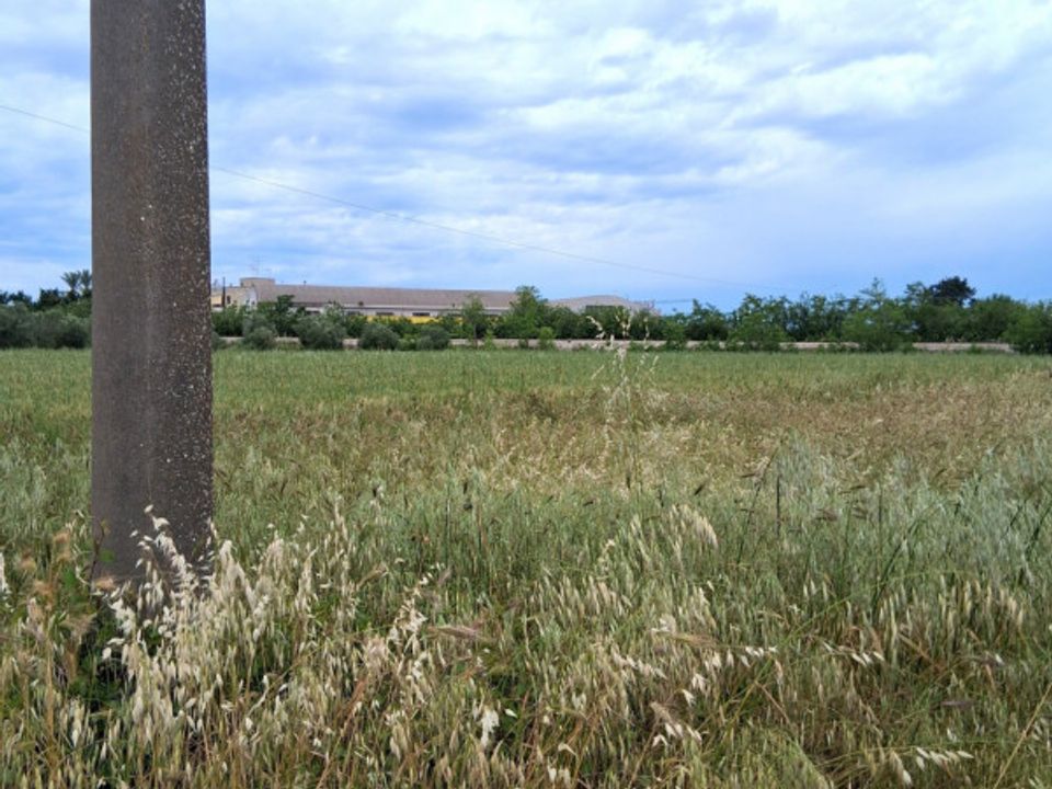 Helårsgrund i Nardo, Lecce - foto 3
