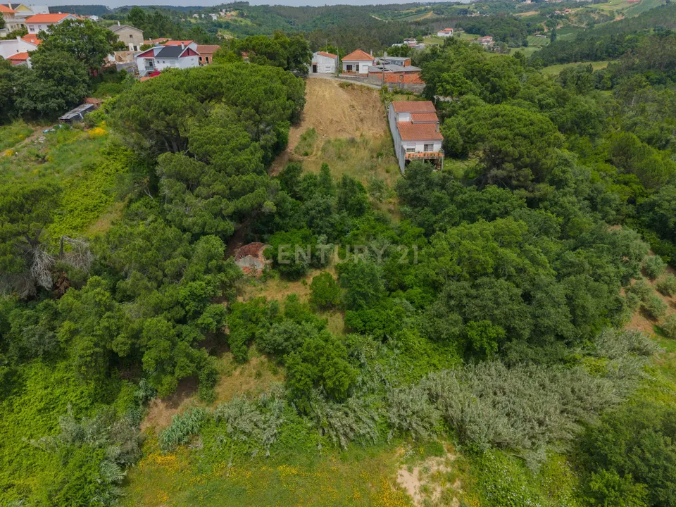 Helårsgrund i Alcobaca, Leiria - foto 3