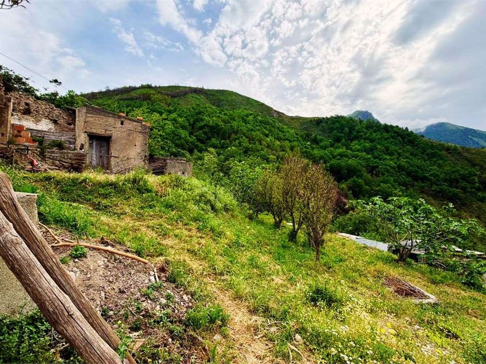 Helårsgrund i Belvedere Marittimo, Cosenza - foto 5