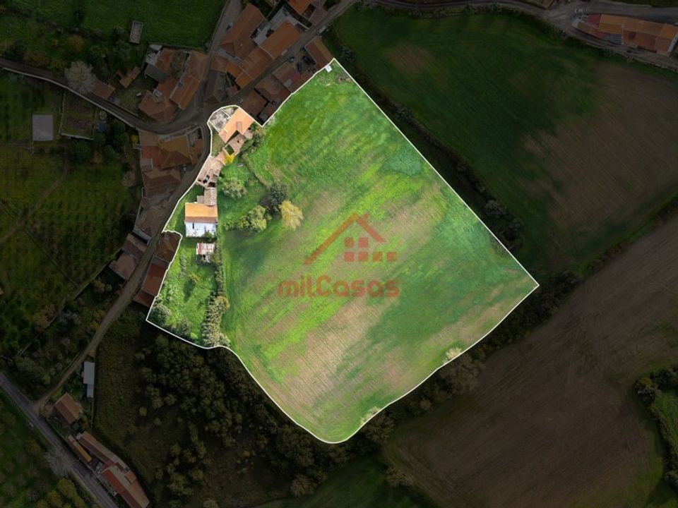 Farm i Dois Portos, Lisbon - foto 5