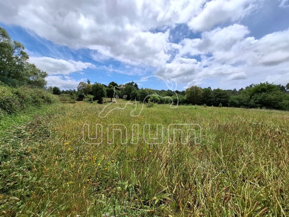 Terra a Montaria, Viana do Castelo - foto 1