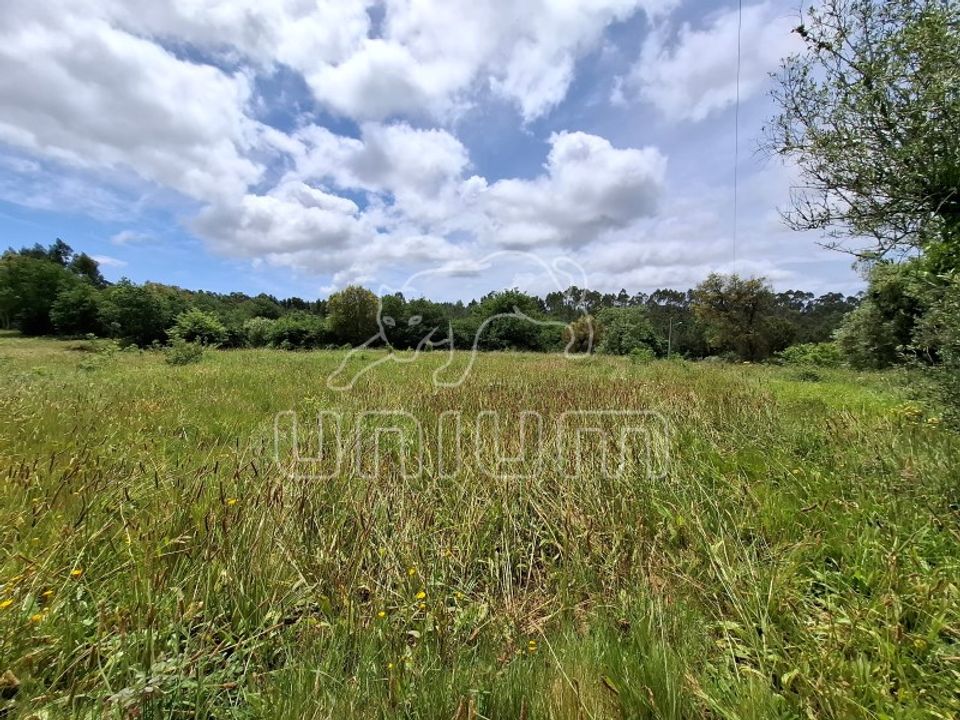 Terra a Montaria, Viana do Castelo - foto 2