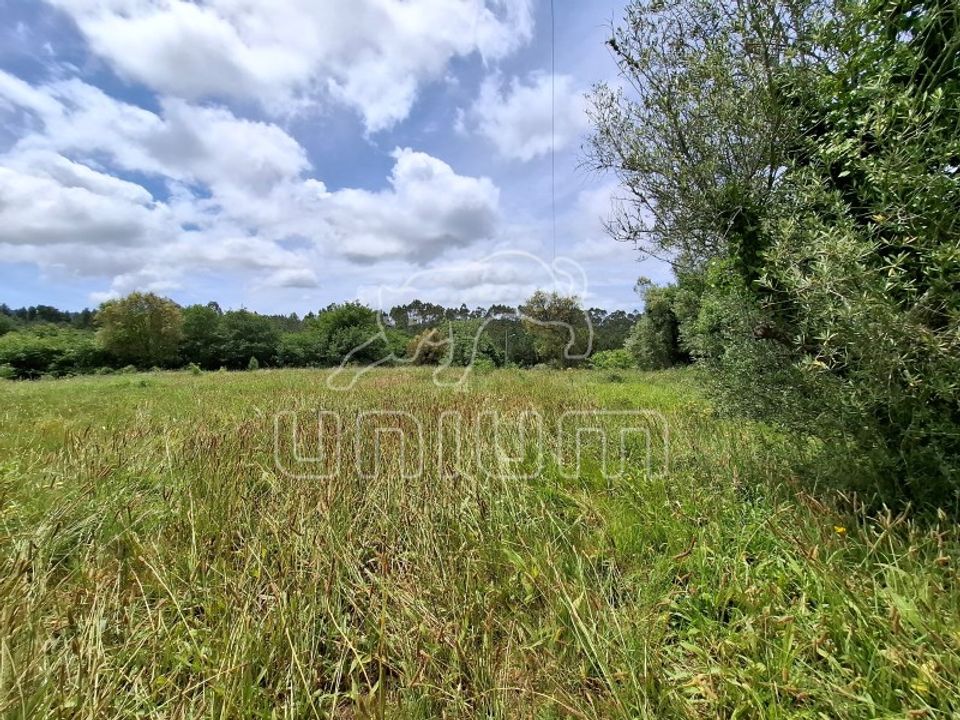 Terra a Montaria, Viana do Castelo - foto 3