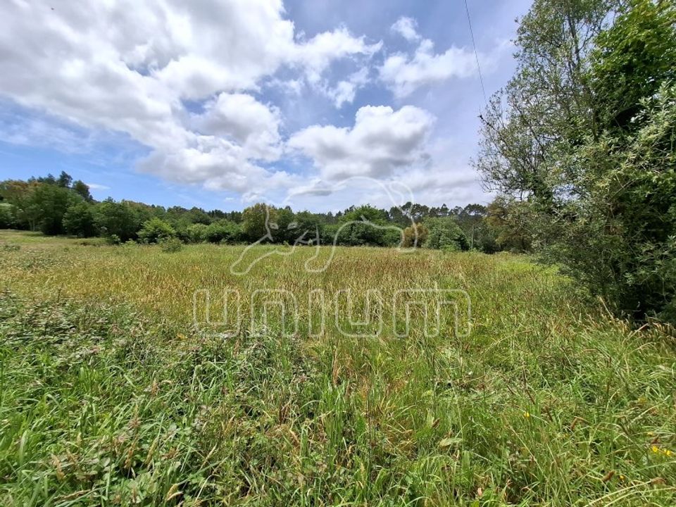 Terra a Montaria, Viana do Castelo - foto 4