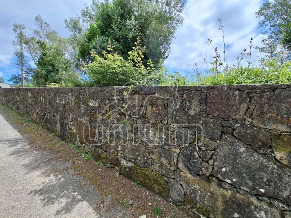 Terra a Montaria, Viana do Castelo - foto 5