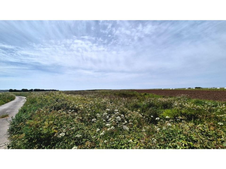 Helårsgrund i Areosa, Viana do Castelo - foto 3