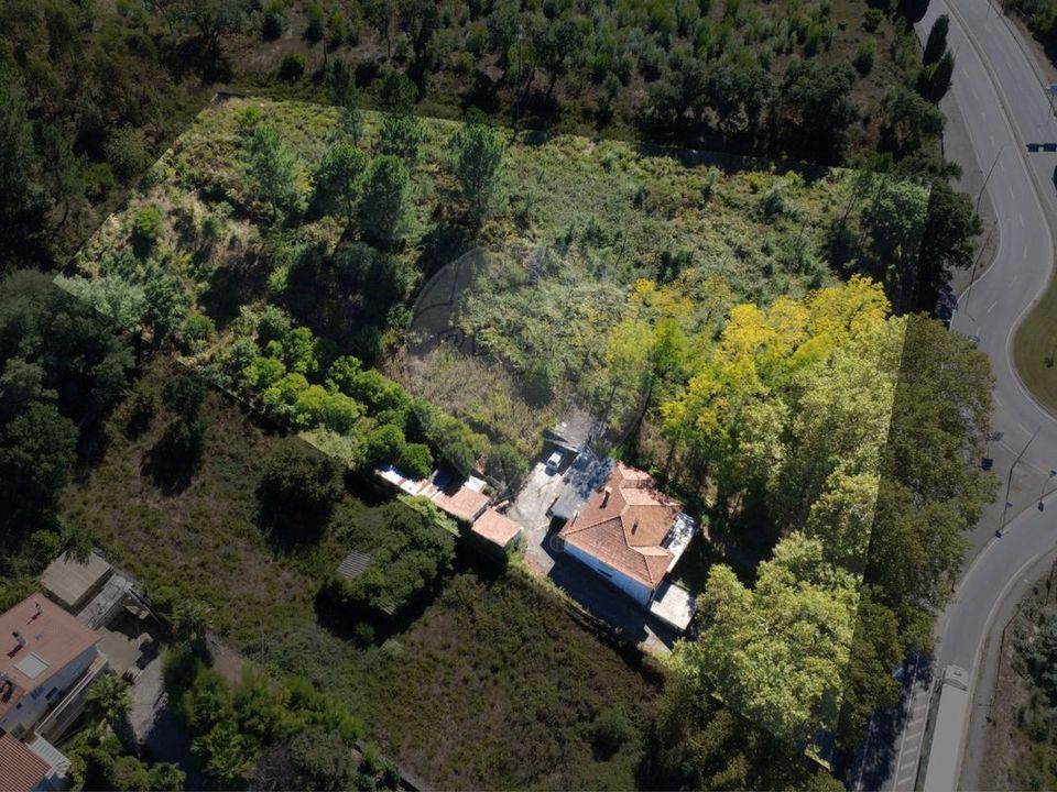 Villa i Anadia, Aveiro - foto 4