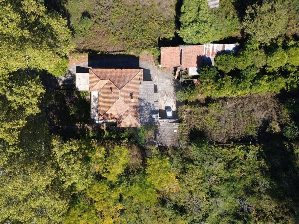 Villa i Anadia, Aveiro - foto 5