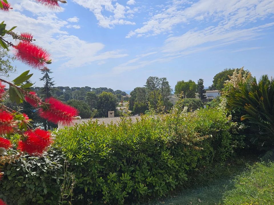 Lejlighed i Villeneuve-Loubet, Alpes-Maritimes - foto 1