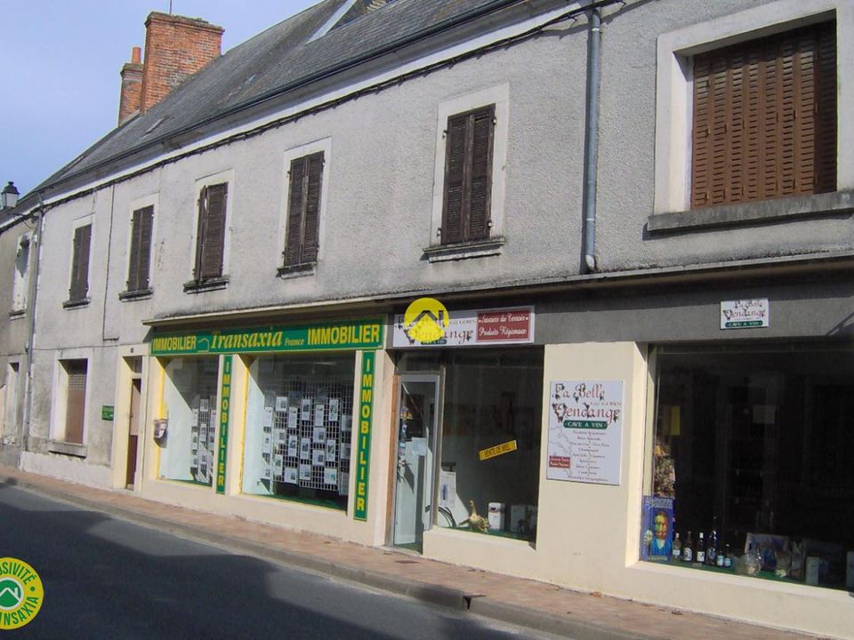 Villa i Mézières-en-Brenne, Indre - foto 2