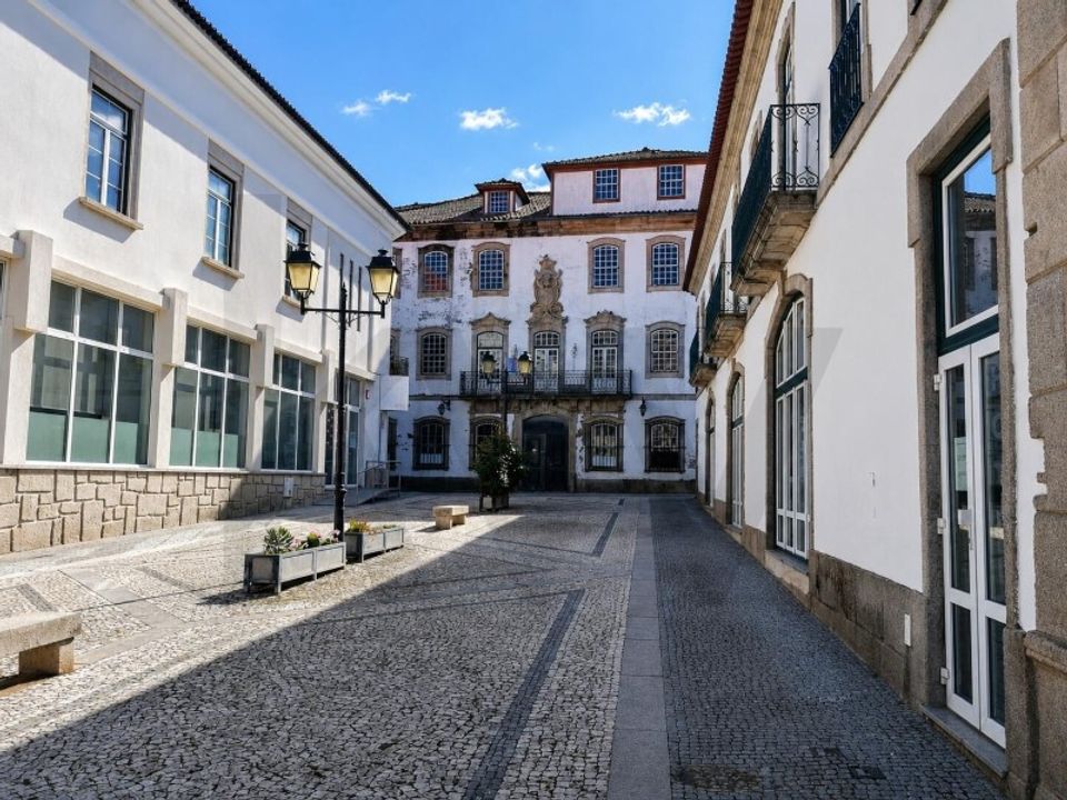 Farm i Lamego, Viseu - foto 2