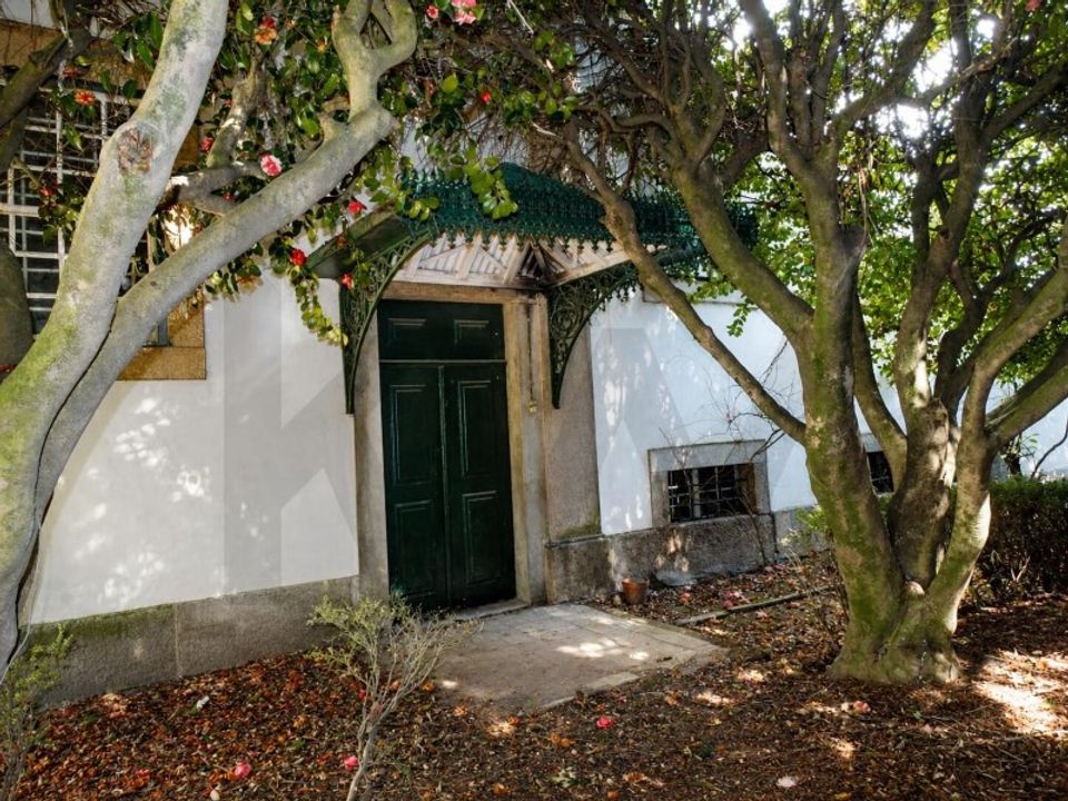Farm i Lamego, Viseu - foto 5