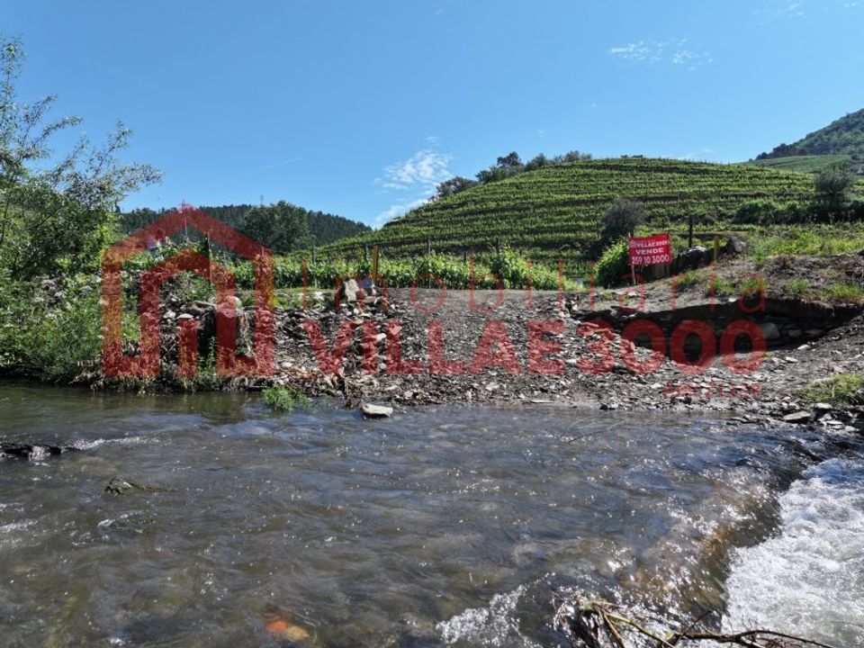 Farm i Vila Real, Vila Real - foto 1