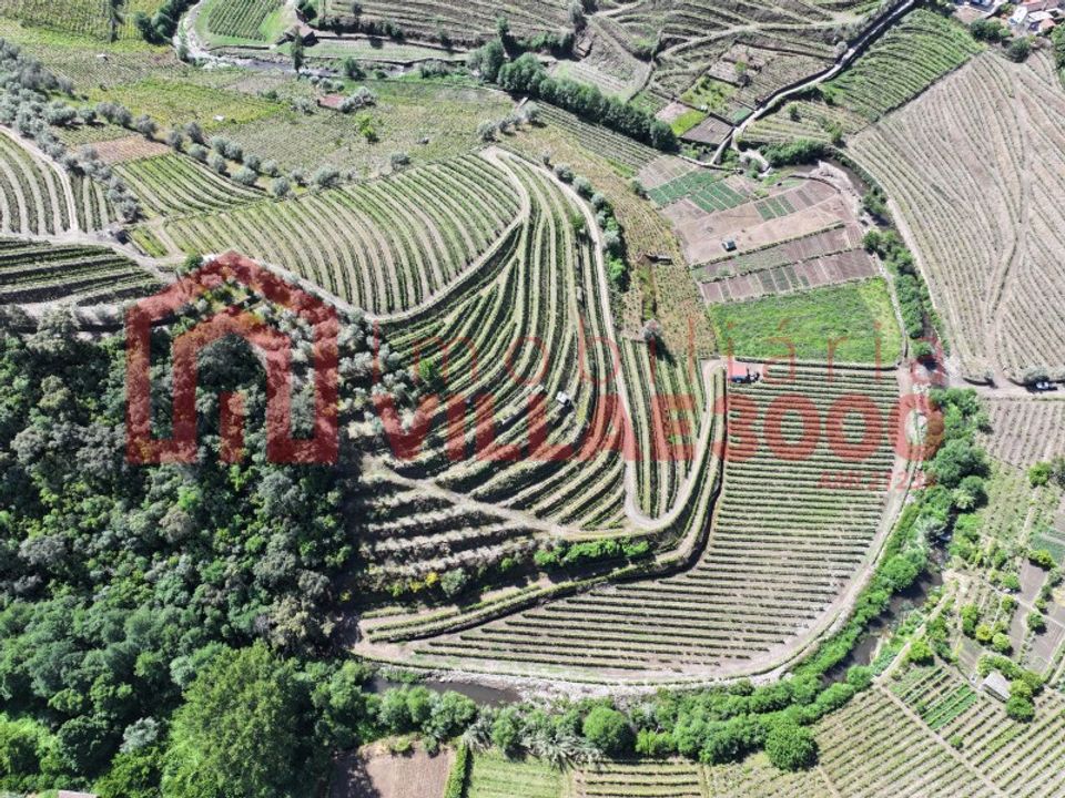 Farm i Vila Real, Vila Real - foto 2