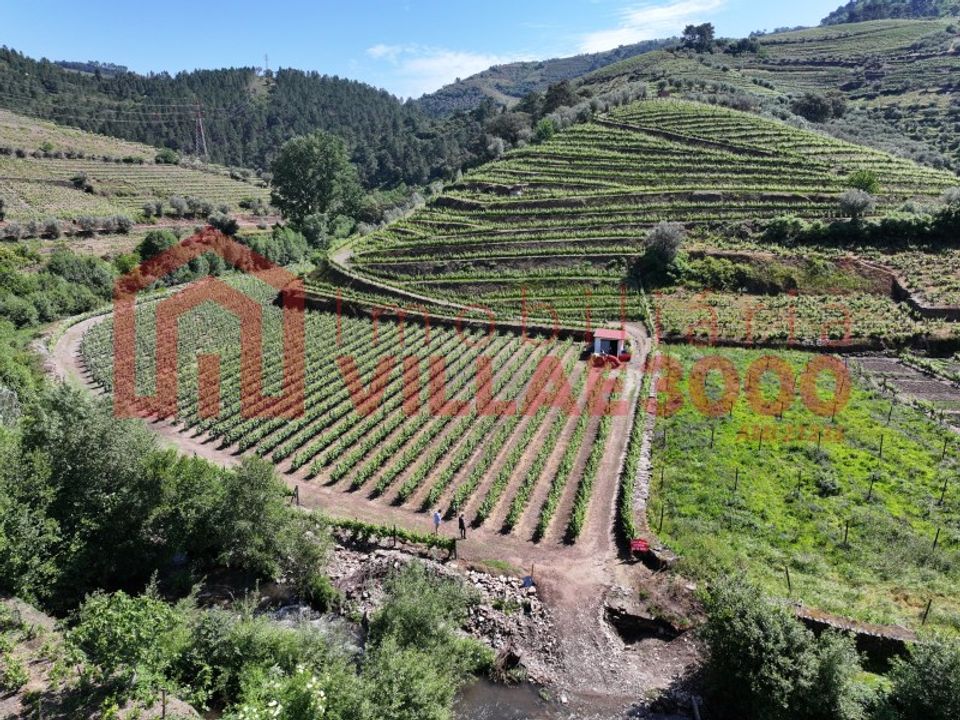 Farm i Vila Real, Vila Real - foto 3