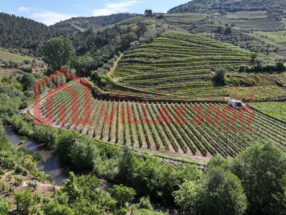 Farm i Vila Real, Vila Real - foto 4