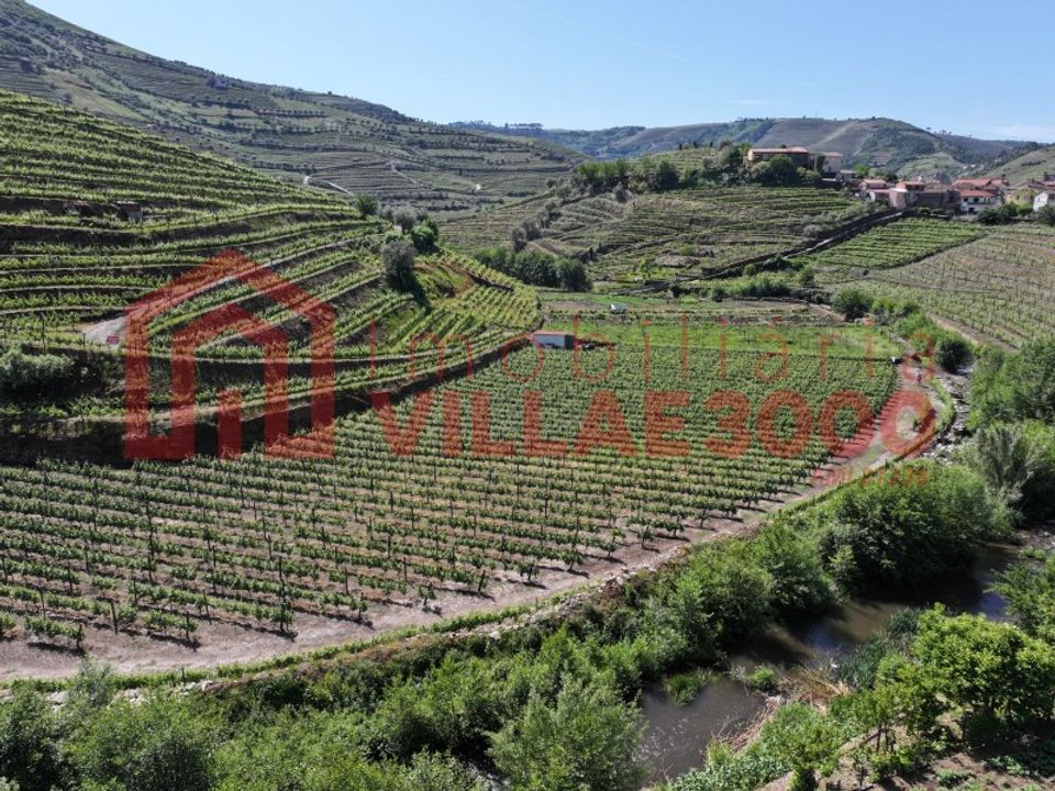 Farm i Vila Real, Vila Real - foto 5