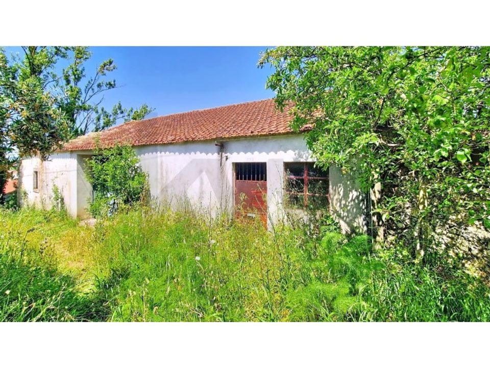 Villa i Tomar, Santarem - foto 3