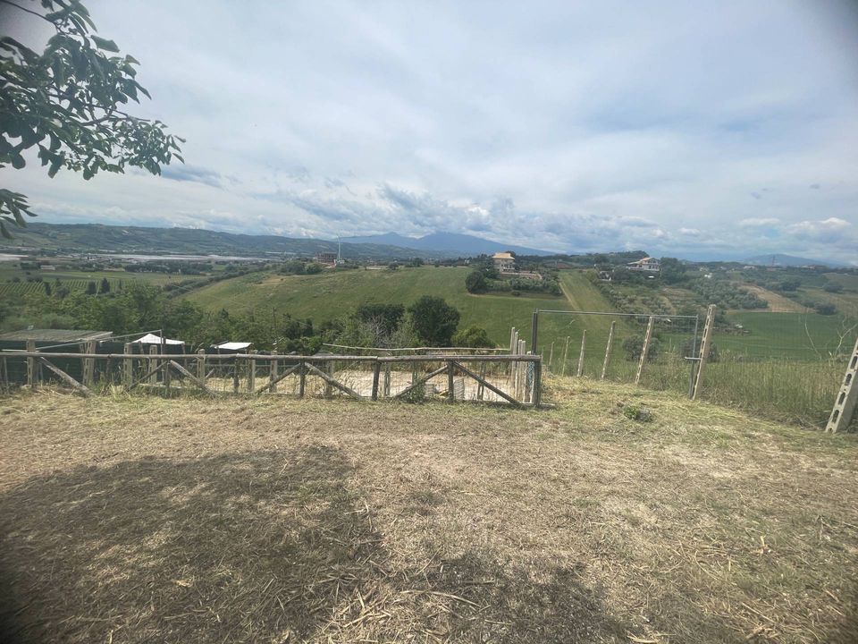 Tomt i Monteprandone, Ascoli Piceno - bilde 1