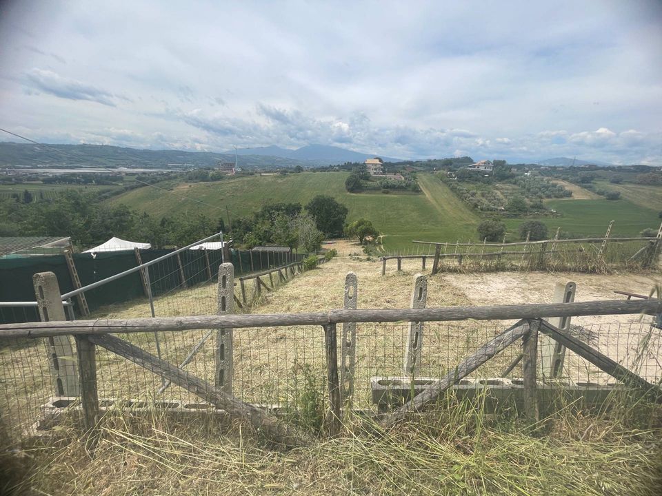 Tomt i Monteprandone, Ascoli Piceno - bilde 2
