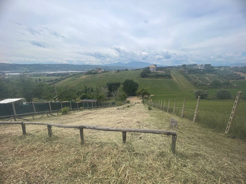 Tomt i Monteprandone, Ascoli Piceno - bilde 3