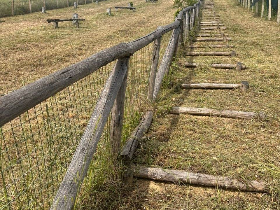 Tomt i Monteprandone, Ascoli Piceno - bilde 4