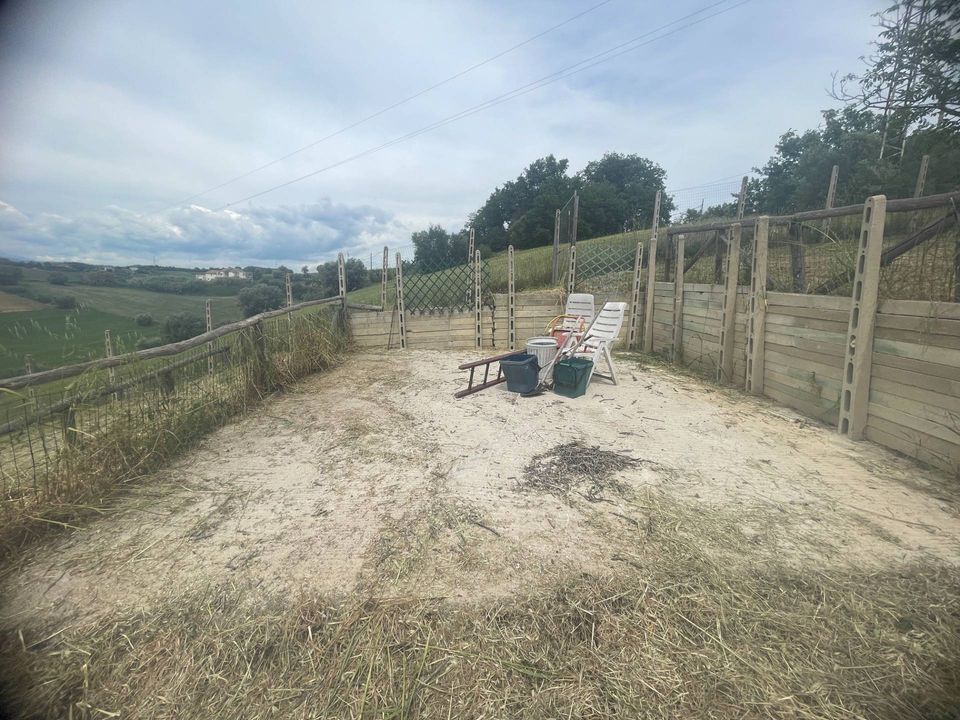 Tomt i Monteprandone, Ascoli Piceno - bilde 5