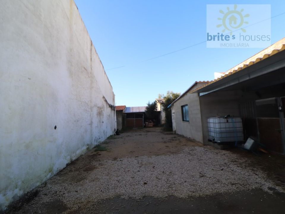 Villa i Golega, Santarem - bilde 3