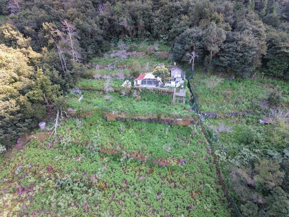 Helårsgrund i Sao Vincente, Madeira - foto 2