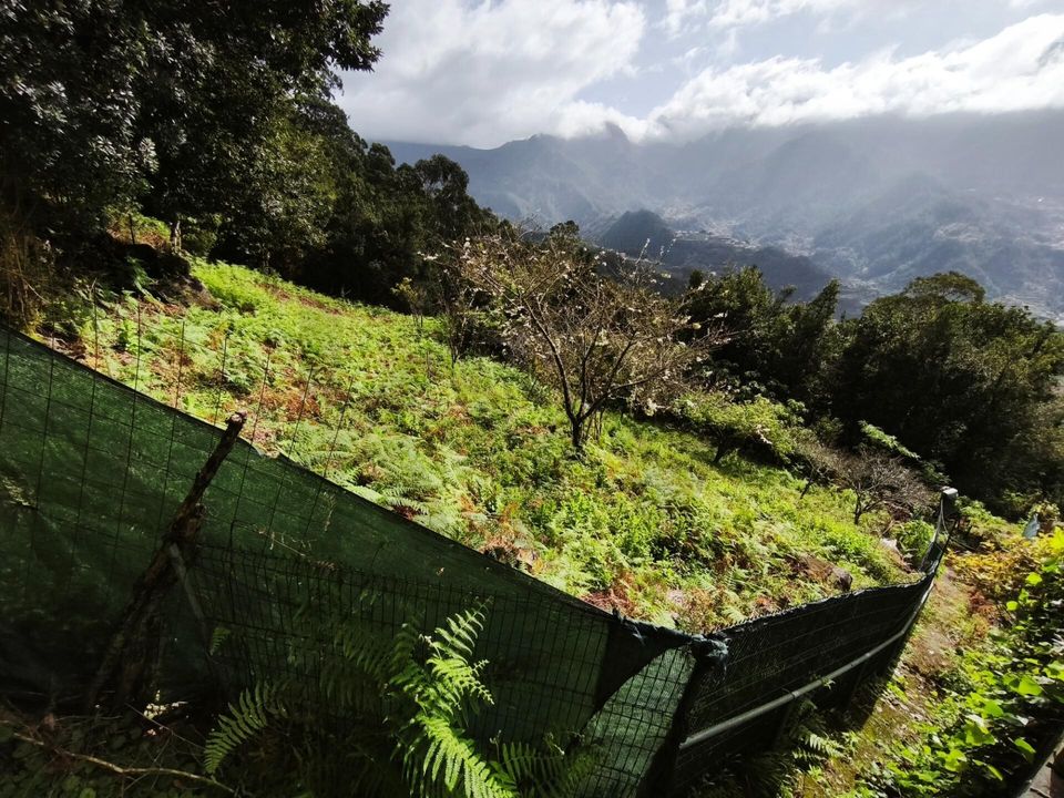 Helårsgrund i Sao Vincente, Madeira - foto 5