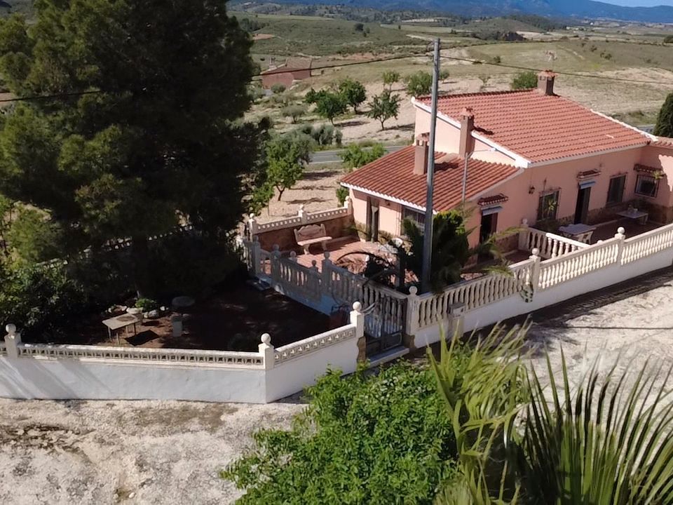 Landejendom i Pinoso, Alicante - foto 1