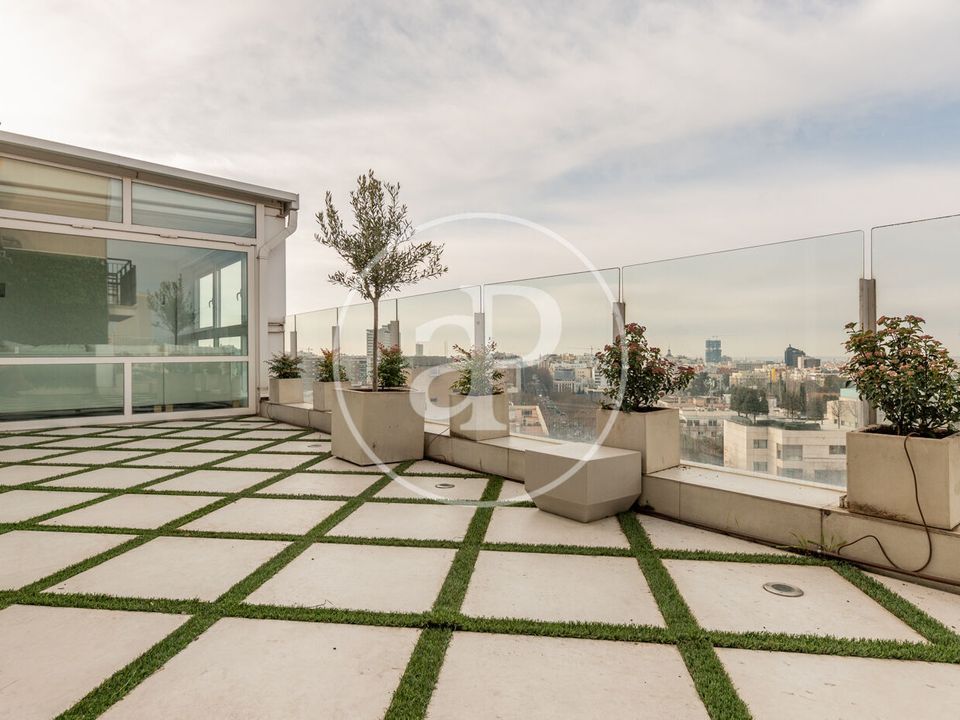 Penthouse i Madrid, Madrid - bilde 2