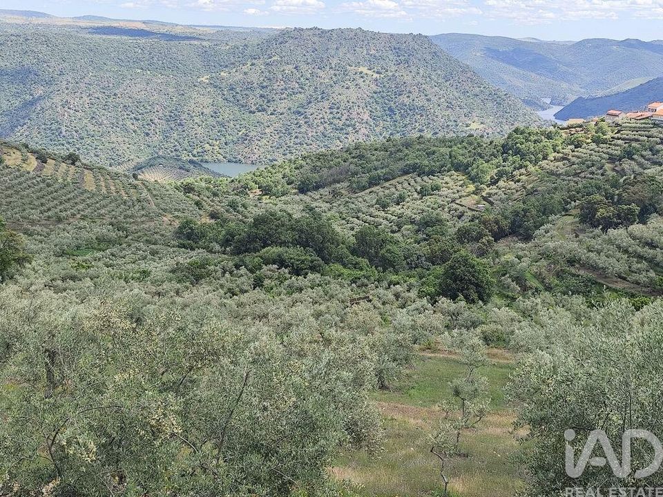 Helårsgrund i Freixo de Espada a Cinta, Braganca - foto 1