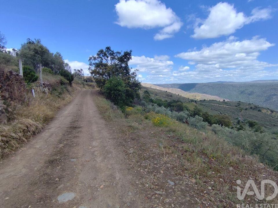 Helårsgrund i Freixo de Espada a Cinta, Braganca - foto 3
