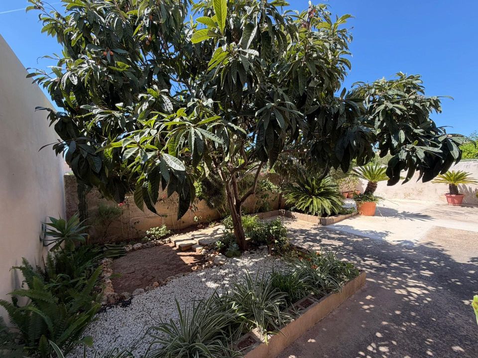 Rækkehus i Ariany, Mallorca - foto 4