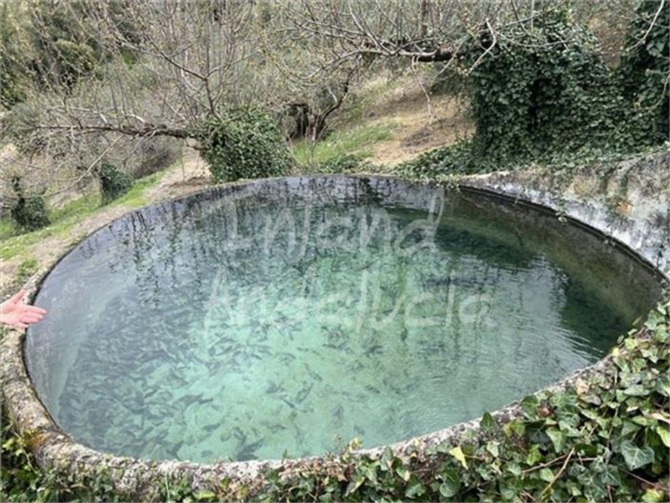 Cortijo en Charilla, Jaen - foto 2