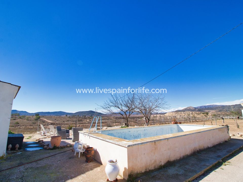 Landejendom i Monovar, Alicante - foto 4