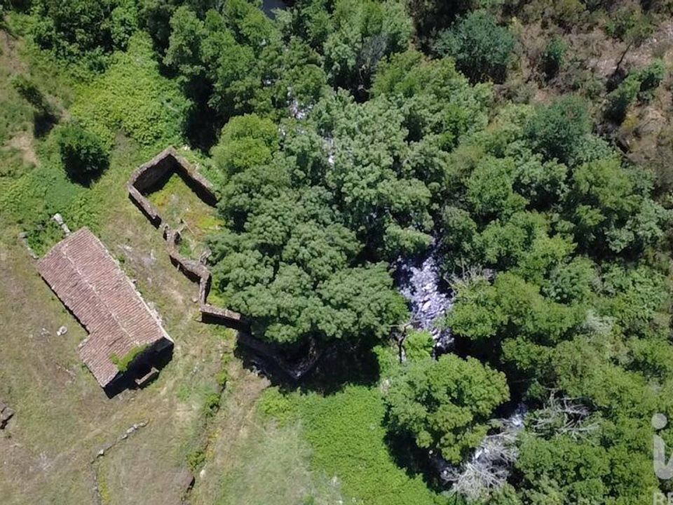 Farm i Penalva do Castelo, Viseu - foto 4