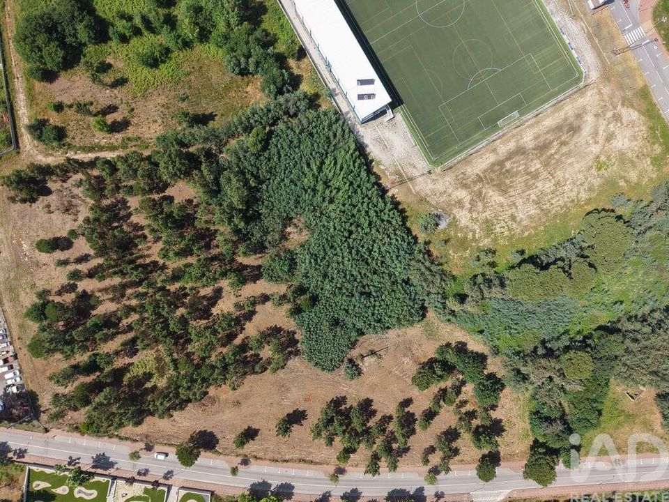 Helårsgrund i Carregal do Sal, Viseu - foto 4