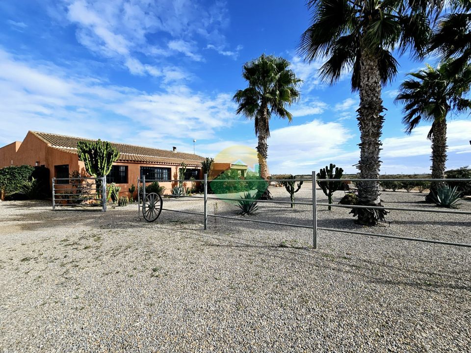 Finca i Fuente Alamo, Murcia - foto 4