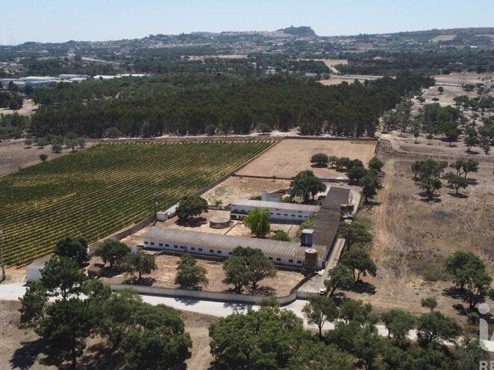 Helårsgrund i Palmela, Setubal - foto 5