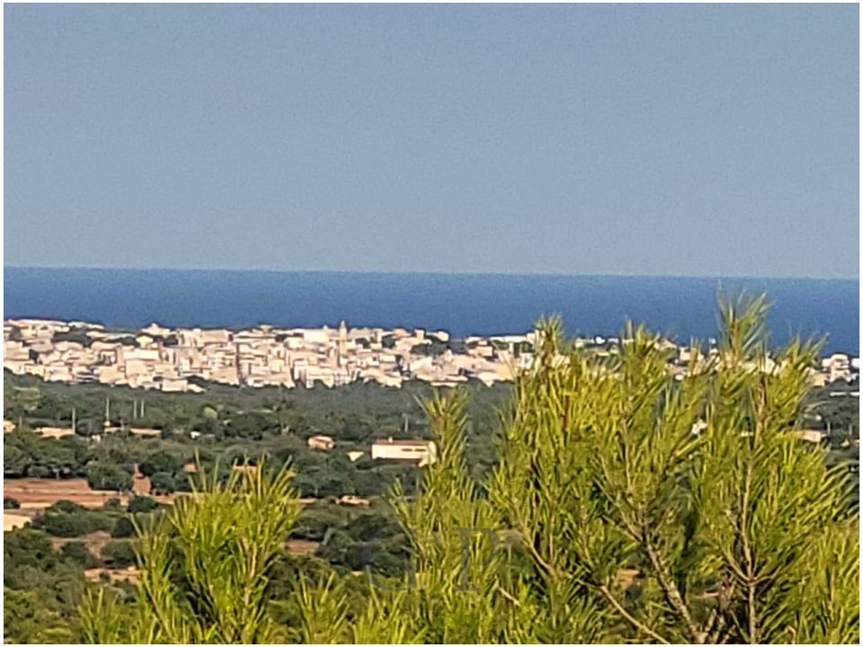 Helårsgrund i Manacor, Mallorca - foto 4