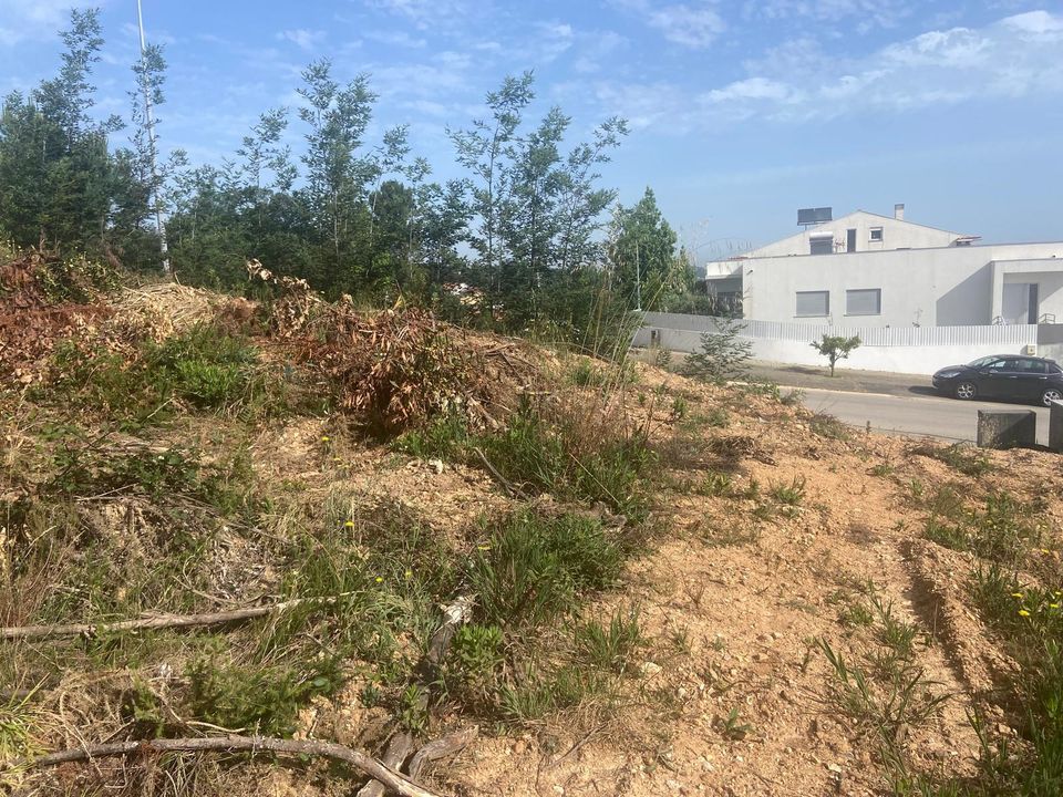 Helårsgrund i Anadia, Aveiro - foto 4