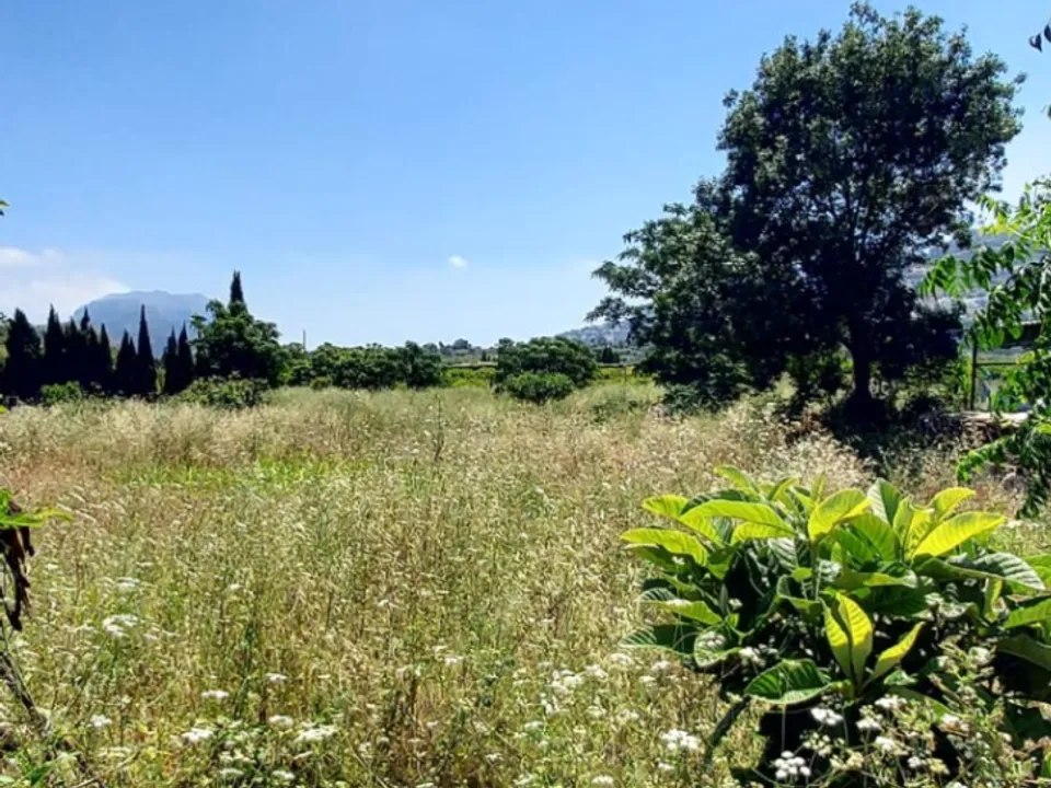 Helårsgrund i Ondara, Alicante - foto 4