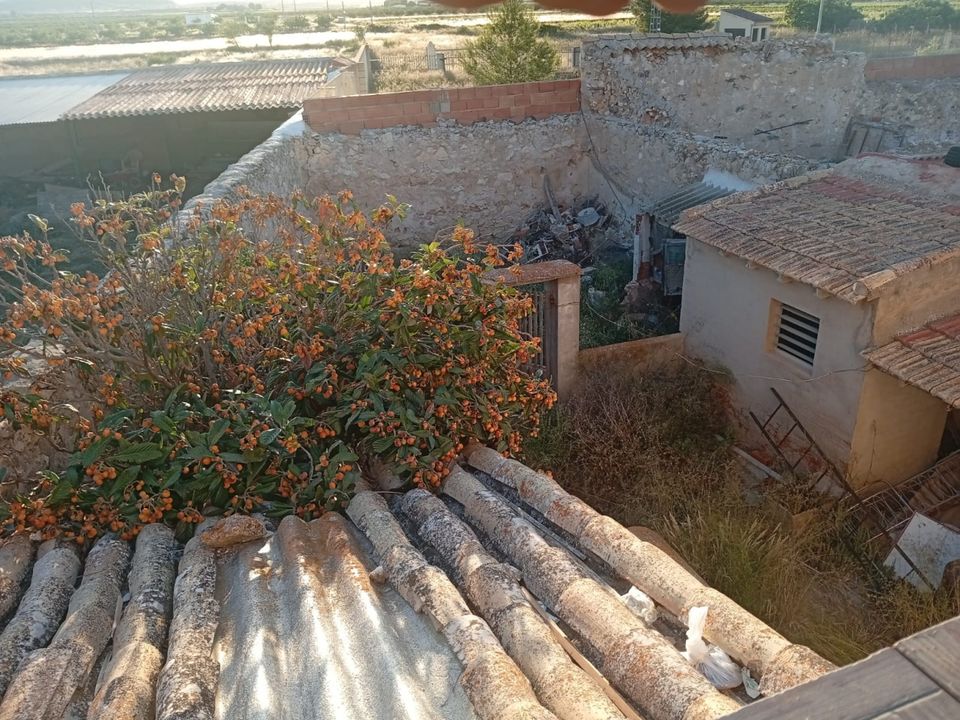 Landsbyhus i Pinoso, Alicante - foto 2
