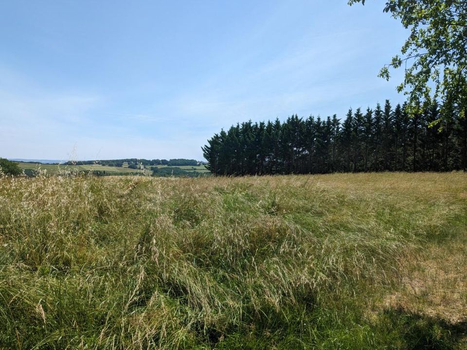 Terra em Sainte-Colombe-en-Bruilhois, Lot-et-Garonne - foto 1