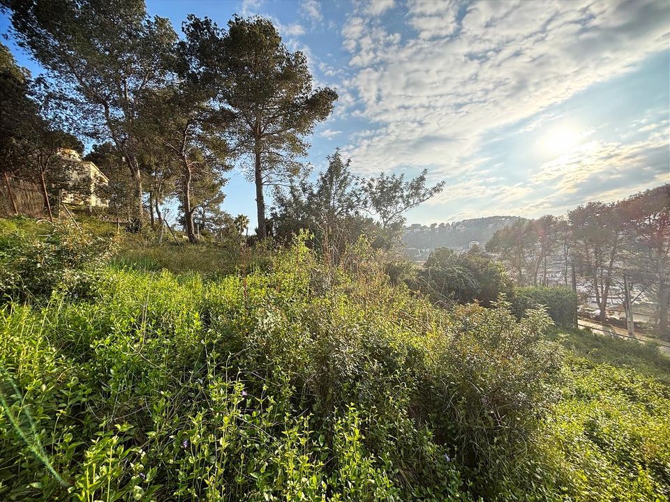 Tomt i Canyelles, Barcelona - bilde 3