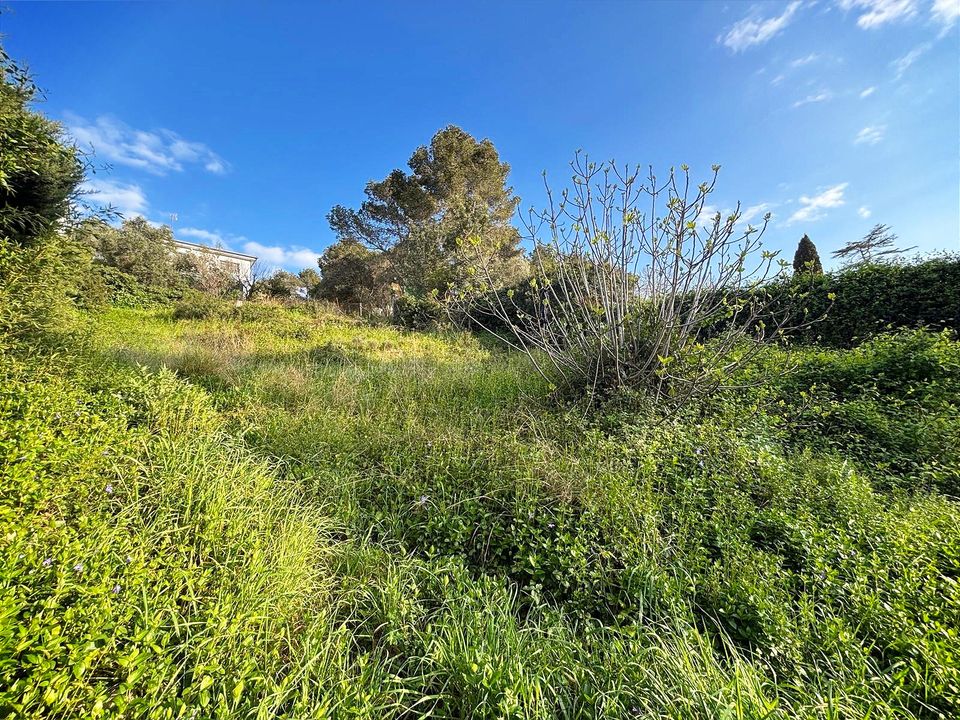Tomt i Canyelles, Barcelona - bilde 4