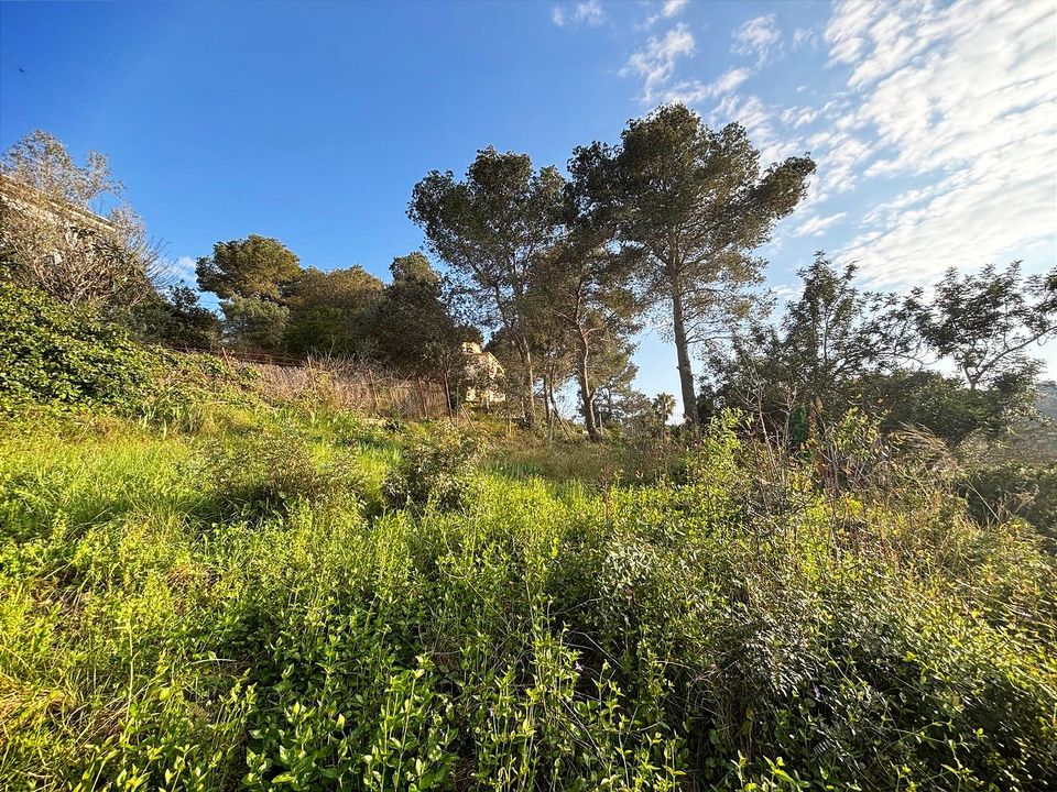 Tomt i Canyelles, Barcelona - bilde 5